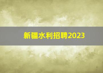 新疆水利招聘2023