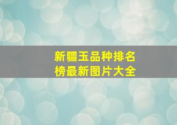 新疆玉品种排名榜最新图片大全