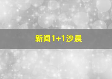 新闻1+1沙晨