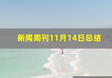 新闻周刊11月14日总结