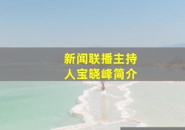 新闻联播主持人宝晓峰简介