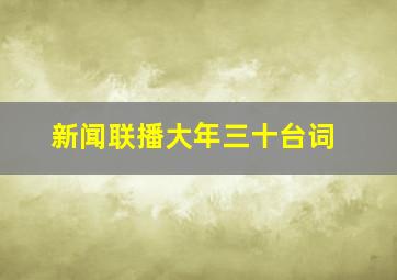 新闻联播大年三十台词