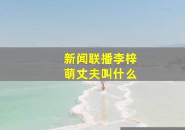 新闻联播李梓萌丈夫叫什么