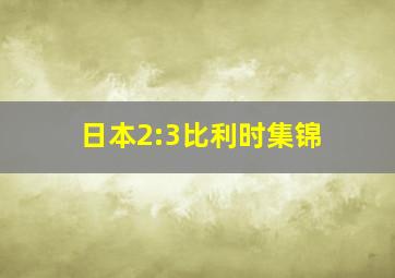 日本2:3比利时集锦