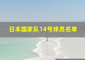 日本国家队14号球员名单