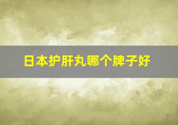 日本护肝丸哪个牌子好