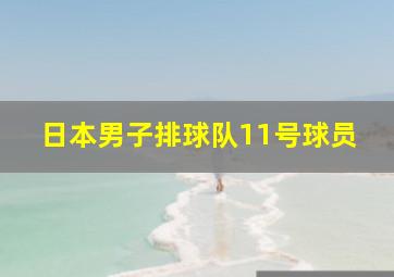 日本男子排球队11号球员