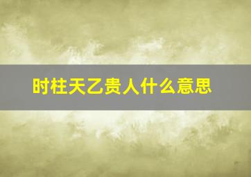 时柱天乙贵人什么意思