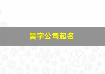 昊字公司起名