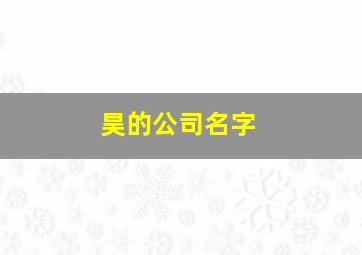 昊的公司名字