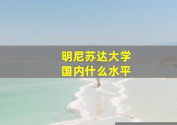 明尼苏达大学国内什么水平