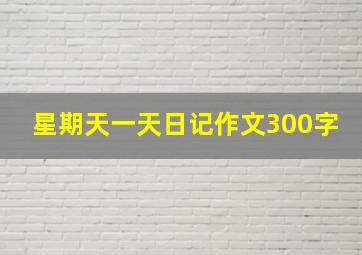 星期天一天日记作文300字