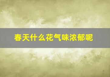 春天什么花气味浓郁呢