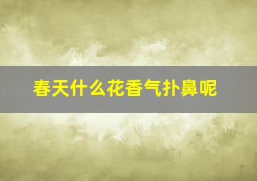 春天什么花香气扑鼻呢