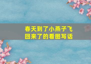 春天到了小燕子飞回来了的看图写话