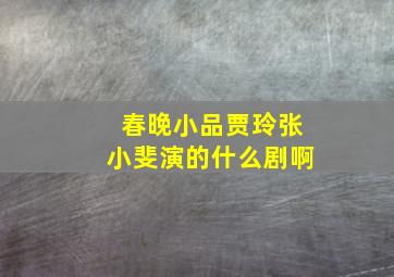 春晚小品贾玲张小斐演的什么剧啊