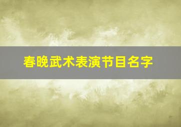 春晚武术表演节目名字