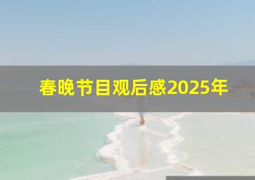 春晚节目观后感2025年