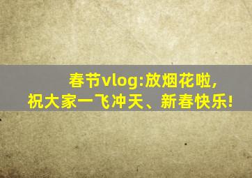 春节vlog:放烟花啦,祝大家一飞冲天、新春快乐!