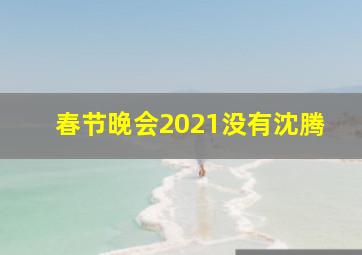 春节晚会2021没有沈腾