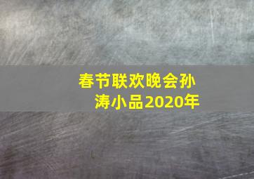 春节联欢晚会孙涛小品2020年