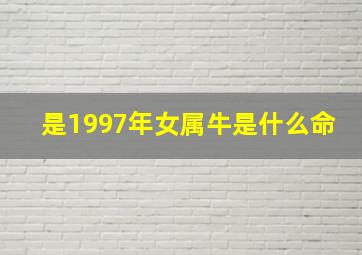 是1997年女属牛是什么命