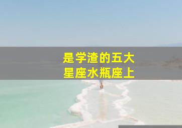 是学渣的五大星座水瓶座上