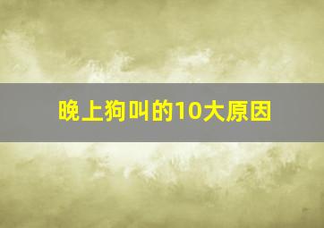 晚上狗叫的10大原因