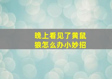 晚上看见了黄鼠狼怎么办小妙招