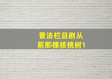 普法栏目剧从前那棵核桃树1