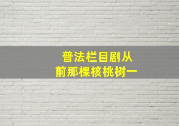 普法栏目剧从前那棵核桃树一