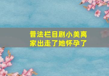 普法栏目剧小美离家出走了她怀孕了