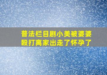 普法栏目剧小美被婆婆殴打离家出走了怀孕了