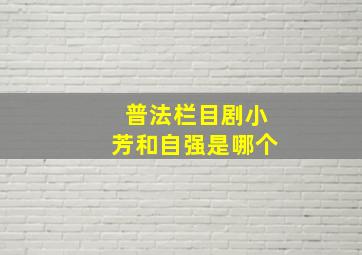 普法栏目剧小芳和自强是哪个