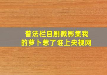 普法栏目剧微影集我的萝卜惹了谁上央视网