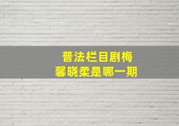 普法栏目剧梅馨晓柔是哪一期