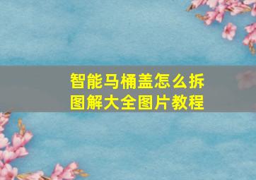 智能马桶盖怎么拆图解大全图片教程