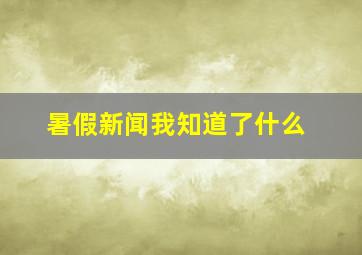 暑假新闻我知道了什么