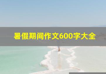 暑假期间作文600字大全