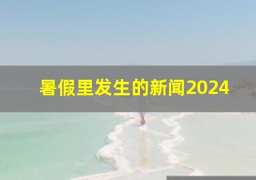 暑假里发生的新闻2024