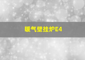 暖气壁挂炉E4