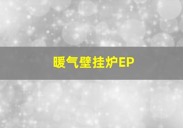 暖气壁挂炉EP