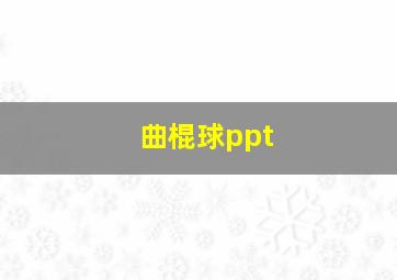 曲棍球ppt