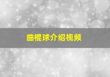 曲棍球介绍视频