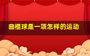 曲棍球是一项怎样的运动