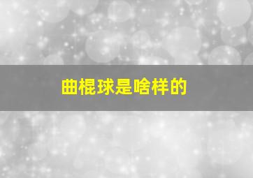 曲棍球是啥样的