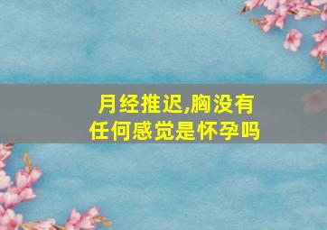 月经推迟,胸没有任何感觉是怀孕吗