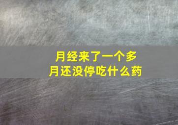 月经来了一个多月还没停吃什么药