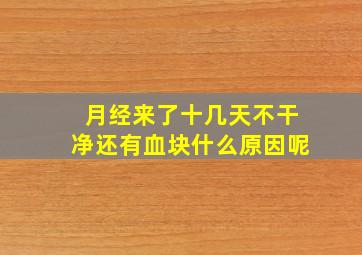 月经来了十几天不干净还有血块什么原因呢