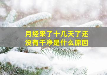 月经来了十几天了还没有干净是什么原因